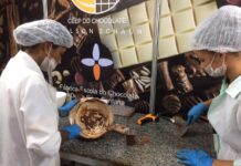Produtos desenvolvidos nas fábricas-escolas da SEC serão expostos na 38ª edição do Chocolat Bahia, em Ilhéus Logo