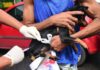 Salvador inicia campanha de vacinação antirrábica animal nesta segunda (8) – Secretaria de Comunicação Salvador inicia campanha de vacinação antirrábica animal nesta segunda (8) – Secretaria de Comunicação