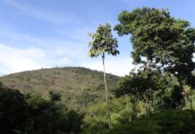 Sema anuncia abertura da 2ª turma dos cursos de 2024 na modalidade à distância Logo