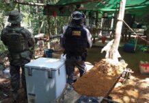 Ações de combate ao garimpo em Roraima destroem acampamentos, apreendem arma de fogo e recapturam foragido da justiça Ações de combate ao garimpo em Roraima destroem acampamentos, apreendem arma de fogo e recapturam foragido da justiça