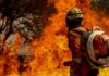 Bombeiros do DF apagam incêndio em área de nascente do Lago Paranoá Bombeiros do DF apagam incêndio em área de nascente do Lago Paranoá
