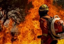 Bombeiros do DF apagam incêndio em área de nascente do Lago Paranoá Bombeiros do DF apagam incêndio em área de nascente do Lago Paranoá