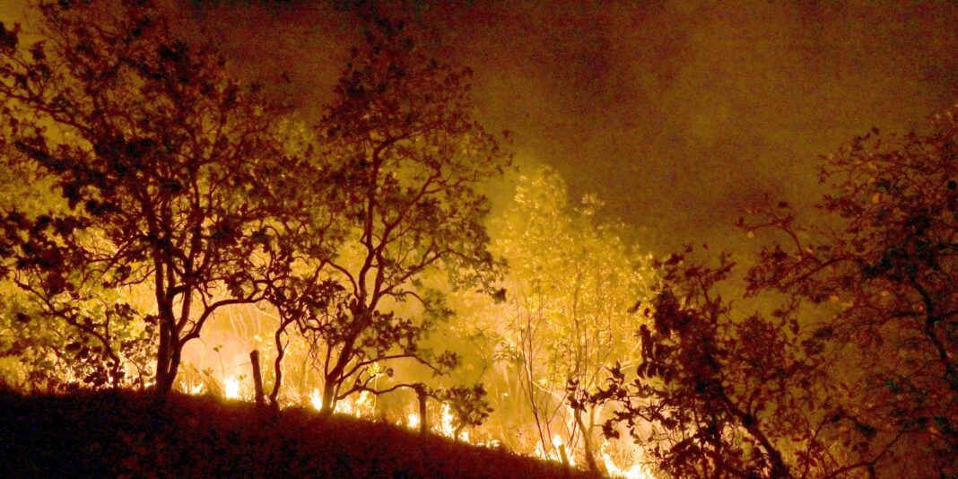 Incêndios: governo vai concentrar ações em 21 municípios da Amazônia Incêndios: governo vai concentrar ações em 21 municípios da Amazônia