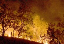 Bombeiros combatem mais de 330 incêndios no estado do Rio Incêndios: governo vai concentrar ações em 21 municípios da Amazônia
