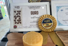 Inscrições abertas para o 1º Festival do Queijo Artesanal da Bahia Logo