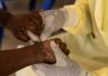 Mpox: OMS pede resposta após registro de nova variante na Suécia Mpox: OMS pede resposta após registro de nova variante na Suécia