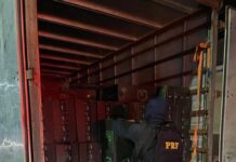 PRF apreende 1 milhão e 325 mil maços de cigarros contrabandeados no Rio Grande do Norte — Polícia Rodoviária Federal ba9d3c1d-fb8f-4fd0-a30c-abecf4458ff7.jpg