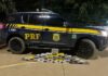 PRF apreende 40 Kg de pasta base de cocaína em Juazeiro — Polícia Rodoviária Federal 40Kg de pasta base de cocaína.jpeg