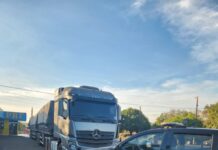 PRF apreende 65,9 m³ de madeira transportados ilegalmente em Paraíso do Tocantins/TO — Polícia Rodoviária Federal WhatsApp Image 2024-08-10 at 17.56.57.jpeg