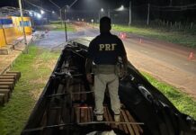 PRF apreende 68 m³ de madeira ilegal em Santarém/PA — Polícia Rodoviária Federal WhatsApp Image 2024-08-30 at 06.32.29.jpeg