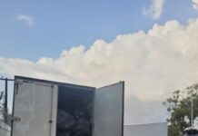 PRF apreende carga com mais de 1 milhão de maços de cigarros do Paraguai em Mamanguape-PB — Polícia Rodoviária Federal WhatsApp Image 2024-08-22 at 11.59.12.jpeg