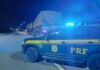 PRF apreende carga ilegal de 71 m³ de madeira em Castanhal/PA — Polícia Rodoviária Federal WhatsApp Image 2024-08-13 at 11.35.08.jpeg