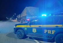 PRF apreende carga ilegal de 71 m³ de madeira em Castanhal/PA — Polícia Rodoviária Federal WhatsApp Image 2024-08-13 at 11.35.08.jpeg