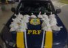 PRF apreende mais de 2 mil pinos de cocaína em Petrópolis — Polícia Rodoviária Federal IMG-20240814-WA0112.jpg
