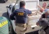 PRF apreende mais de 300 quilos de lagosta em Ceará-Mirim/RN — Polícia Rodoviária Federal 20240826-Lagosta Ceará-Mirim (a1)
