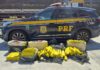 PRF apreende quase 200 quilos de maconha no Arco Metropolitano — Polícia Rodoviária Federal 01.jpg