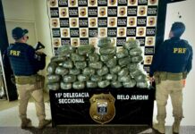 PRF detém homem com 41 Kg de maconha em carro roubado no Agreste — Polícia Rodoviária Federal PRF detém homem com 41 Kg de maconha em carro roubado no Agreste