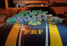 PRF no Piauí Prende casal por Tráfico de Drogas na cidade de Bom Jesus (PI) — Polícia Rodoviária Federal WhatsApp Image 2024-08-08 at 09.54.19.jpeg