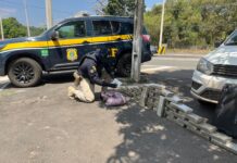 PRF no Piauí apreende 42 tabletes de maconha em Teresina — Polícia Rodoviária Federal WhatsApp Image 2024-08-23 at 17.13.45.jpeg