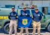 PRF participa de capacitação em Segurança e Proteção de Autoridades — Polícia Rodoviária Federal 55508c74-8bde-46e8-a980-cc20c525209f.jpg