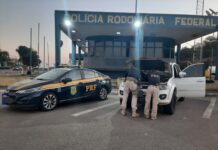 PRF prende motorista com caminhonete roubada e clonada — Polícia Rodoviária Federal WhatsApp Image 2024-08-22 at 19.59.47.jpeg