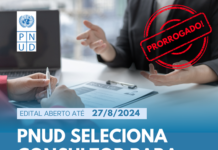 Pnud prorroga prazo de seleção de consultor para projeto da SEI Logo