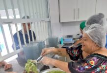 Produtos da agricultura familiar fazem a diferença na alimentação de estudantes na Bahia Logo