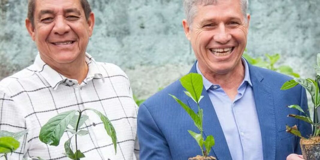Projeto pretende ampliar hortas comunitárias em Xerém, no RJ Projeto pretende ampliar hortas comunitárias em Xerém, no RJ