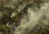 Rondônia declara situação de emergência por incêndios florestais Rondônia declara situação de emergência por incêndios florestais