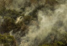 Rondônia declara situação de emergência por incêndios florestais Rondônia declara situação de emergência por incêndios florestais