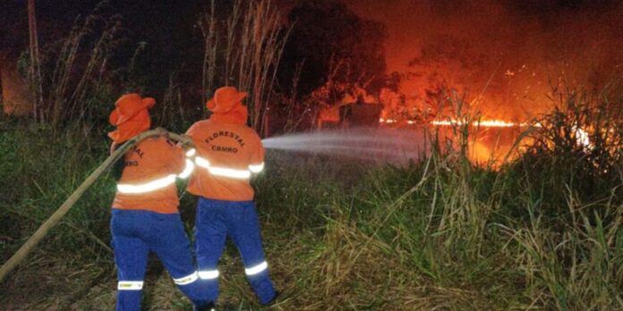 Situação de emergência por incêndio florestal cresceu 354% em agosto