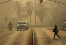 Ato em SP conclama para medidas de mitigação da emergência climática Ato em SP conclama para medidas de mitigação da emergência climática