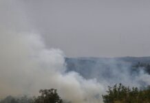 Cinco cidades do estado de São Paulo têm focos de incêndio ativos Cinco cidades do estado de São Paulo têm focos de incêndio ativos