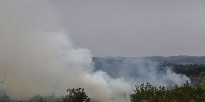 Cinco cidades do estado de São Paulo têm focos de incêndio ativos