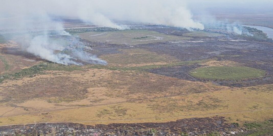 Emissão de gases por incêndios é recorde em dois estados Emissão de gases por incêndios é recorde em dois estados