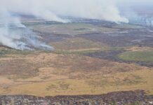 Emissão de gases por incêndios é recorde em dois estados Emissão de gases por incêndios é recorde em dois estados