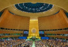 Gestão ambiental da Bahia na abertura da 79ª Sessão da Assembleia Geral das Nações Unidas Logo