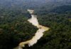 Governo entra com primeira ação por danos climáticos contra a Amazônia Governo entra com primeira ação por danos climáticos contra a Amazônia