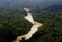 Governo entra com primeira ação por danos climáticos contra a Amazônia Governo entra com primeira ação por danos climáticos contra a Amazônia