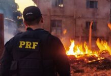 Homem é flagrado pela PRF ateando fogo às margens da BR-222, em Açailândia (MA) — Polícia Rodoviária Federal 7b4ed3cf-90f6-4232-82cc-e949acbdd306.jpg