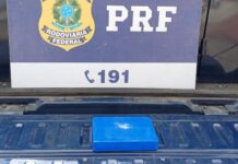 Homem é preso com cocaína na BR-101 em Imbituba — Polícia Rodoviária Federal f9d56606-9873-4e67-8244-c238928d4d61.jpg