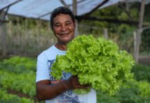 Horta Comunitária em Camacan gera renda e abastece programas institucionais de alimentação Logo