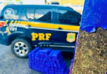 PRF apreende 130 kg de maconha em veículo roubado e detém suspeito em Jequié (BA) — Polícia Rodoviária Federal WhatsApp Image 2024-09-21 at 16.11.07.jpeg