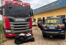 PRF apreende 77 Kg de skunk em Bataguassu (MS) — Polícia Rodoviária Federal PRF apreende 77 Kg de skunk em Bataguassu (MS).jpg