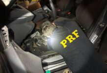 PRF apreende carga de eletrônicos na BR 153 — Polícia Rodoviária Federal WhatsApp Image 2024-09-05 at 09.32.19.jpeg