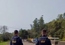 PRF apreende carreta carregada com maconha e skunk em Iraí-RS — Polícia Rodoviária Federal 0dd53155-4c9e-42e1-88f2-e87d0f285090.jpeg