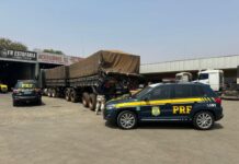 PRF apreende carreta de cigarros contrabandeados em São José do Rio Preto — Polícia Rodoviária Federal WhatsApp Image 2024-09-25 at 08.03.27.jpeg