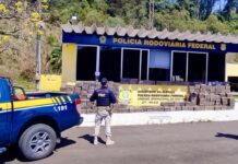 PRF apreende quase 2 toneladas de maconha no Paraná — Polícia Rodoviária Federal maconha