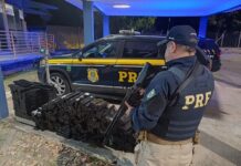 PRF prende duas mulheres transportando 335 quilos de maconha na Dutra — Polícia Rodoviária Federal WhatsApp Image 2024-09-20 at 00.14.03.jpeg