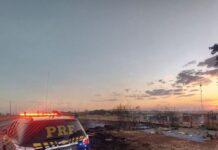 PRF prende incendiário após denúncia de fogo às margens da BR-060 — Polícia Rodoviária Federal WhatsApp Image 2024-09-13 at 18.06.38.jpeg